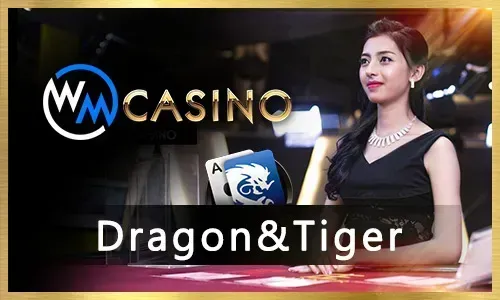 Jili7 Free Spins